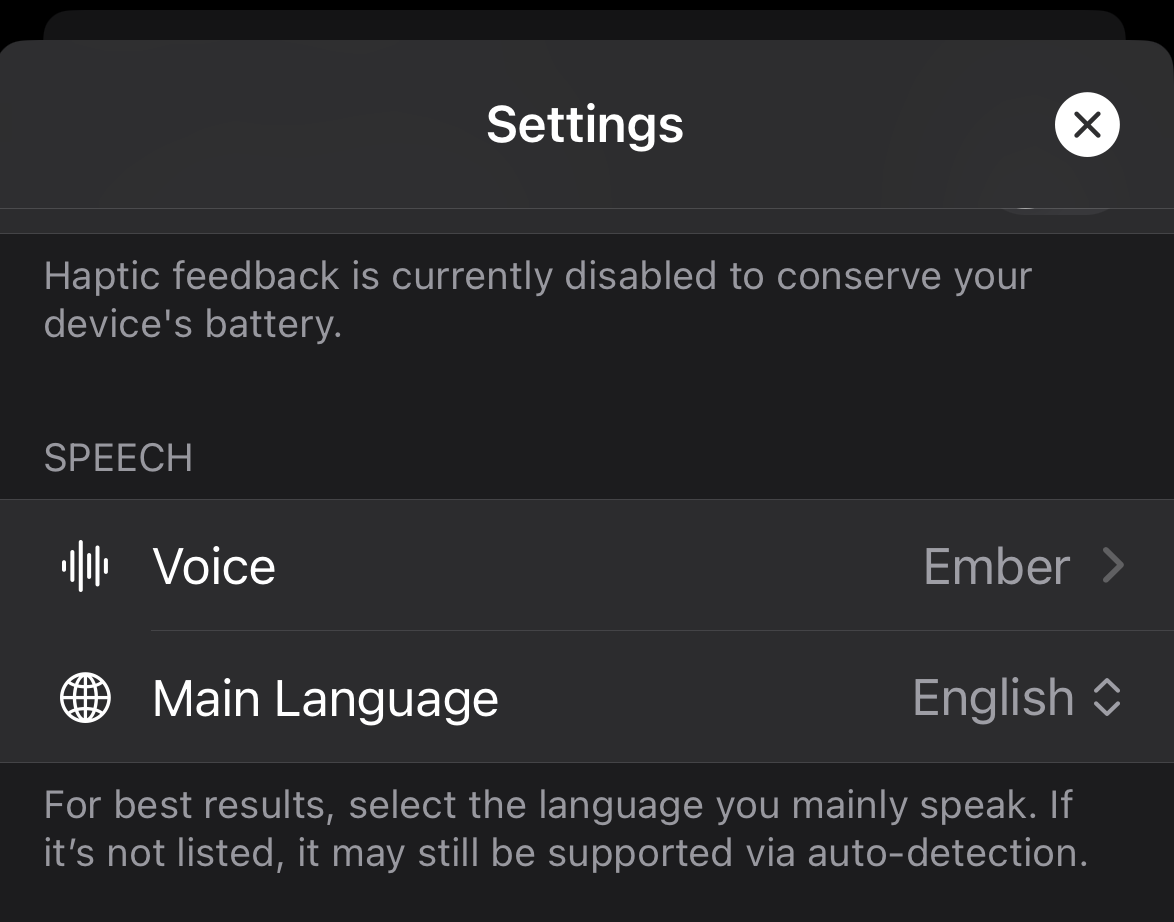 Enabling Voice Conversations